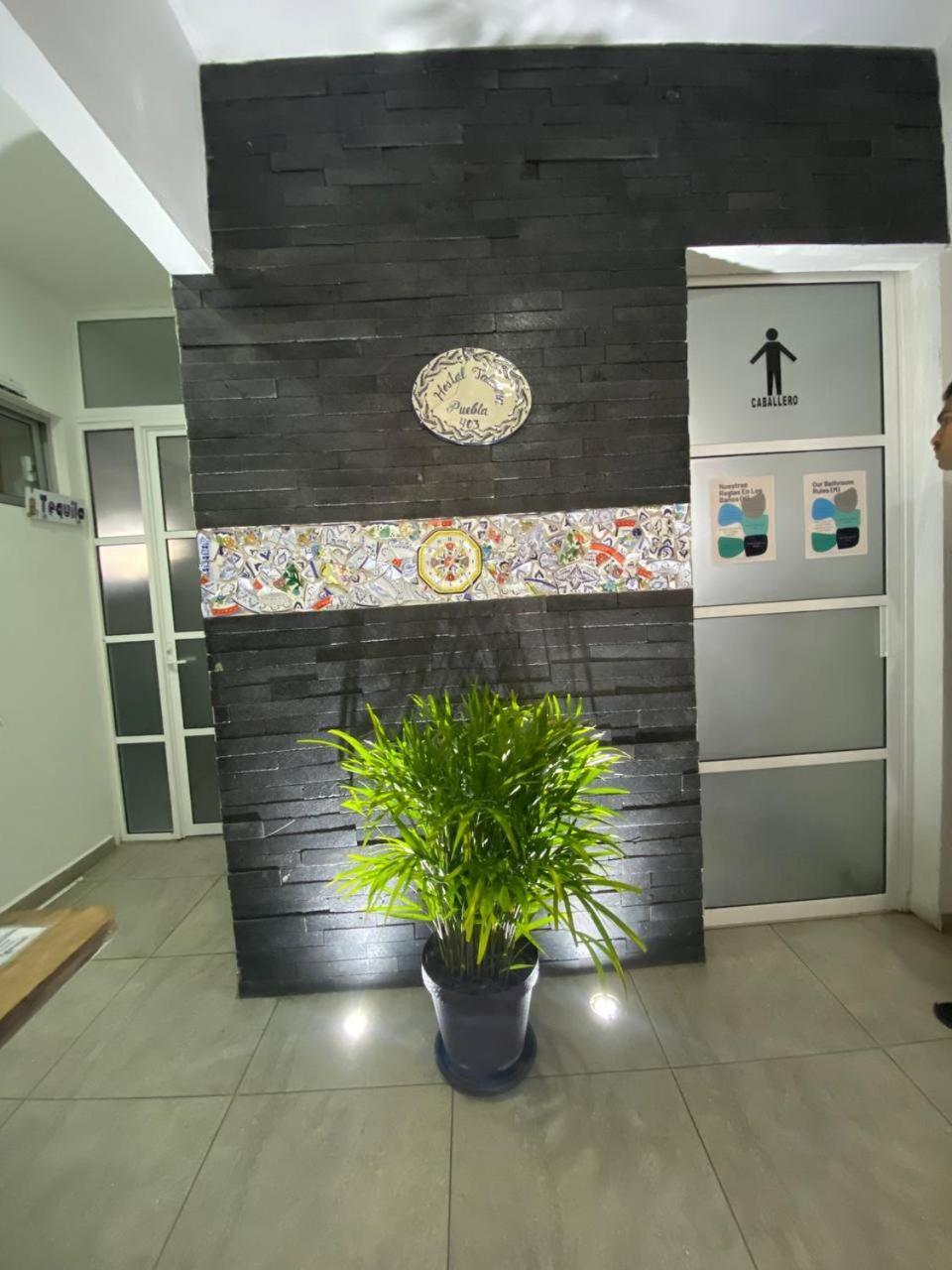 Guest house Talavera Puebla
